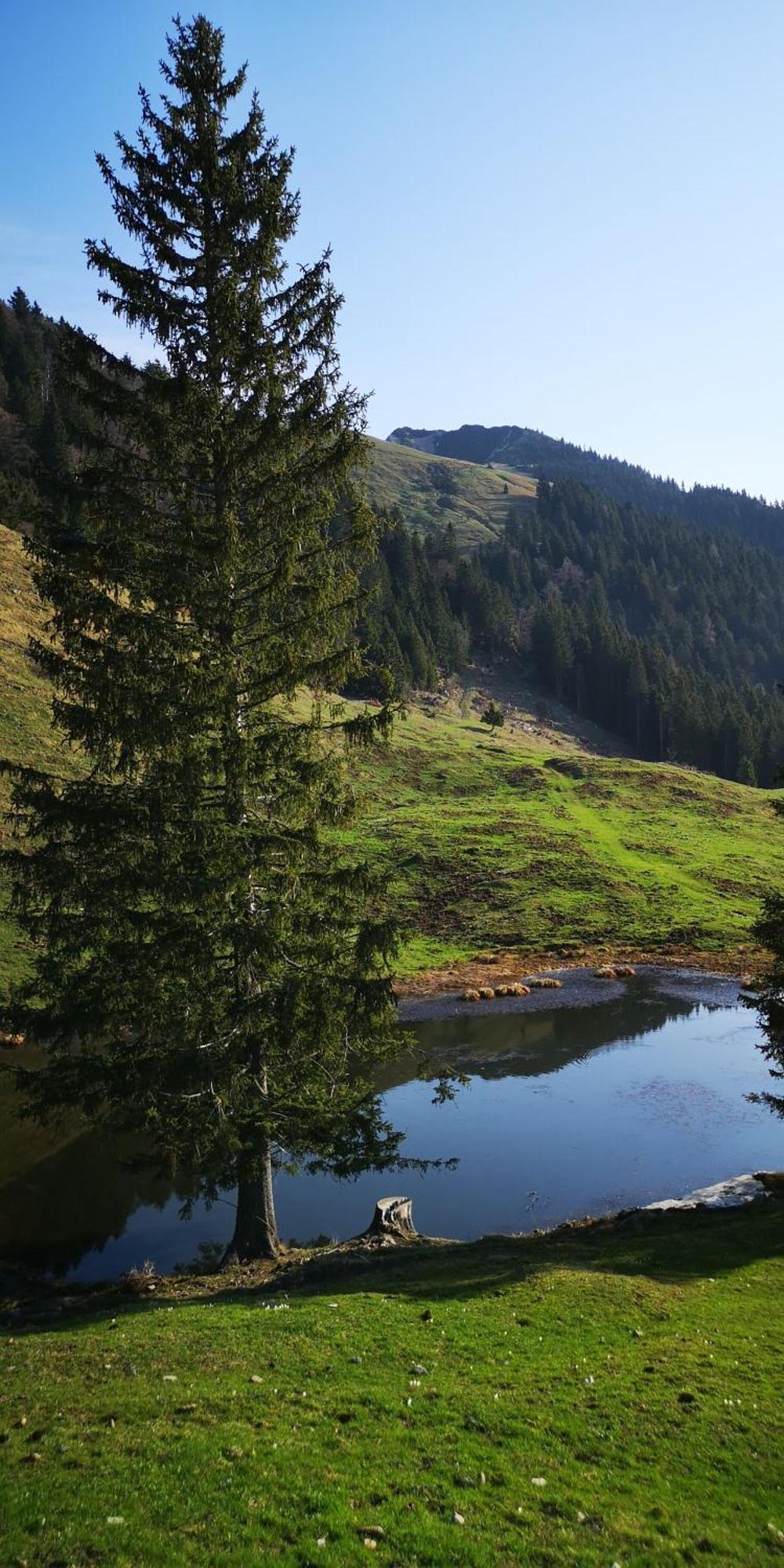 Kiara Rooms Jesenice Zewnętrze zdjęcie